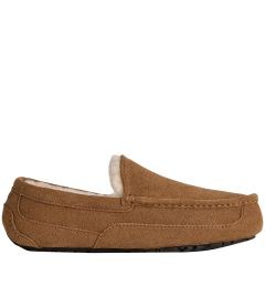 1101110 Ascot ΠΑΝΤΟΦΛΑ UGG