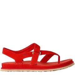 1175134 GoldenGaze Toe Post ΣΑΝΔΑΛΙΑ UGG