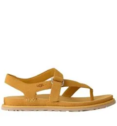 1175134 GoldenGaze Toe Post ΣΑΝΔΑΛΙΑ UGG