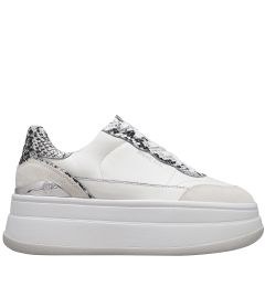 43S5HYFS1S HAYES SNEAKER LOW MICHAEL MICHAEL KORS