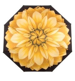 257 21273-6 A29   ΟΜΠΡΕΛΑ PASOTTI